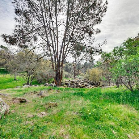 Auberry Home In Sierra National Forest With Fire Pit Exterior photo