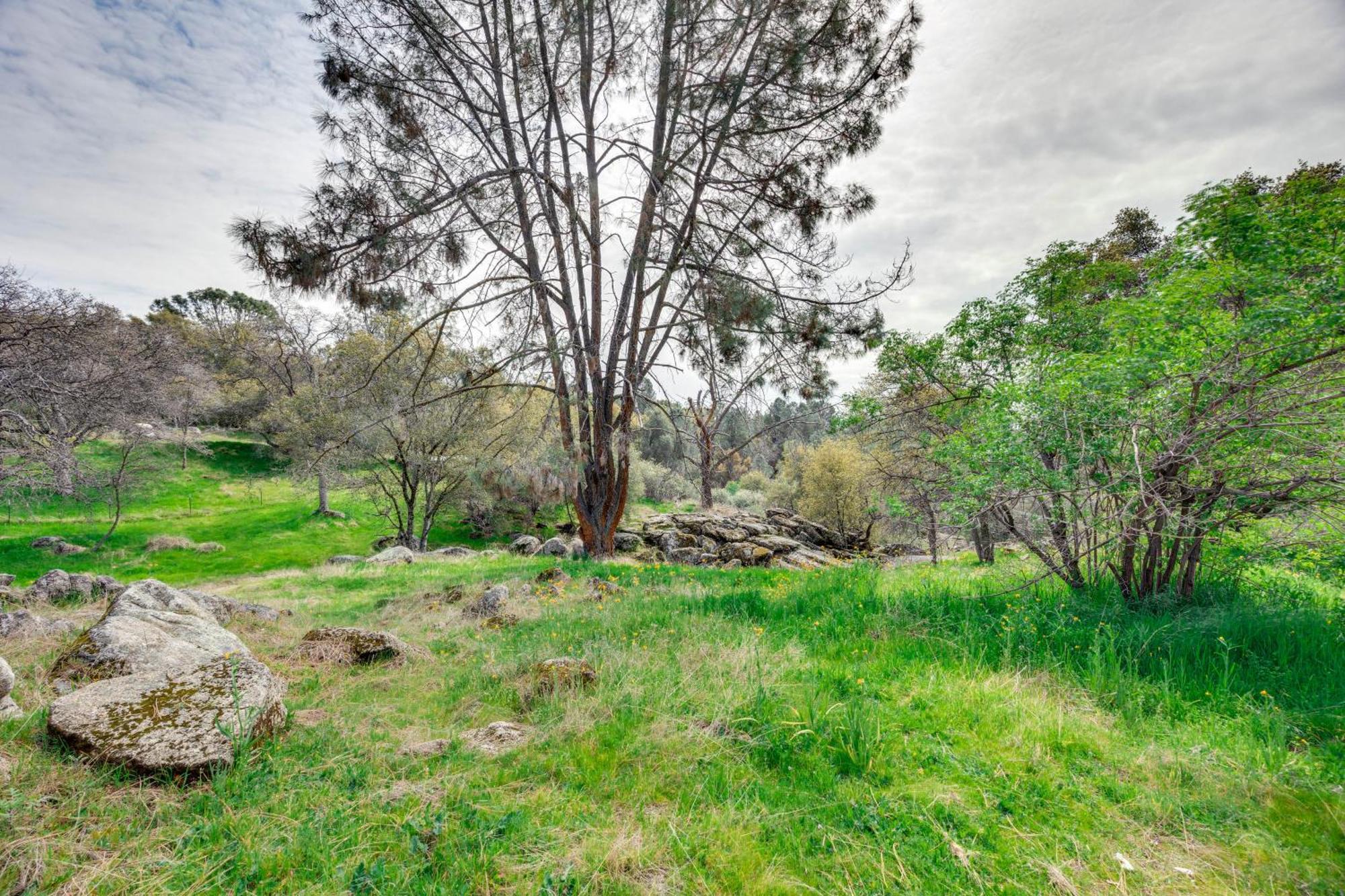 Auberry Home In Sierra National Forest With Fire Pit Exterior photo